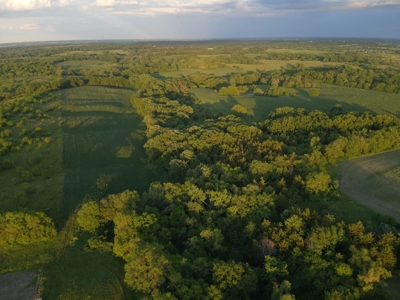 125+/- Acres | Combination Farm with Timber, Pasture & Hunting Potential - image 3