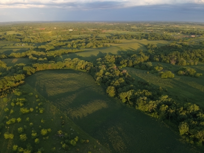 125+/- Acres | Combination Farm with Timber, Pasture & Hunting Potential - image 14