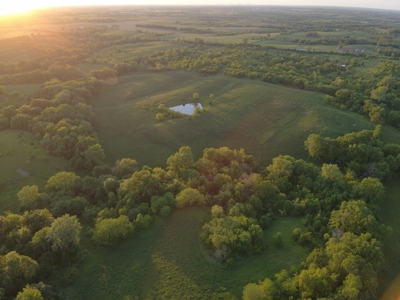 125+/- Acres | Combination Farm with Timber, Pasture & Hunting Potential - image 10