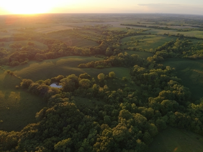 125+/- Acres | Combination Farm with Timber, Pasture & Hunting Potential - image 9