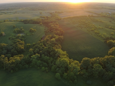 125+/- Acres | Combination Farm with Timber, Pasture & Hunting Potential - image 7