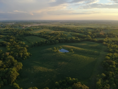 125+/- Acres | Combination Farm with Timber, Pasture & Hunting Potential - image 13
