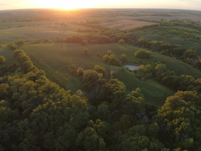 125+/- Acres | Combination Farm with Timber, Pasture & Hunting Potential - image 5
