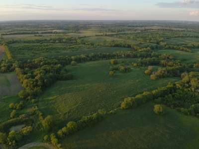 125+/- Acres | Combination Farm with Timber, Pasture & Hunting Potential - image 11