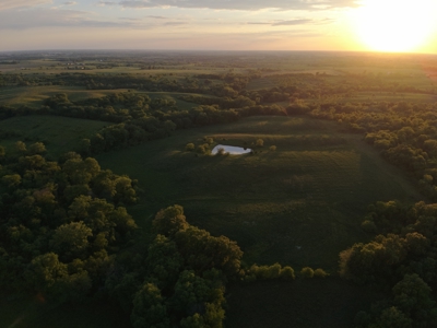 125+/- Acres | Combination Farm with Timber, Pasture & Hunting Potential - image 6