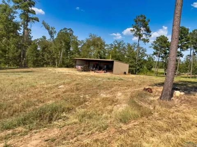 Lakefront Property on Lake O' the Pines in Avinger Texas - image 7