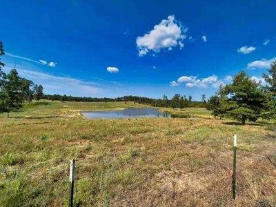 Lakefront Property on Lake O' the Pines in Avinger Texas - image 8