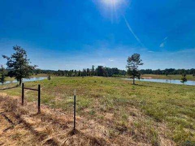 Lakefront Property on Lake O' the Pines in Avinger Texas - image 9