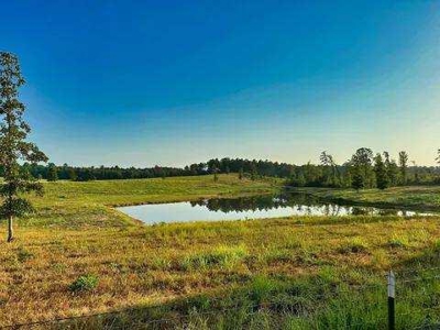 Lakefront Property on Lake O' the Pines in Avinger Texas - image 6