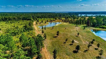 Lakefront Property on Lake O' the Pines in Avinger Texas - image 3