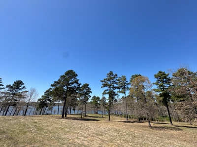 Lakefront Property on Lake O' the Pines in Avinger Texas - image 13