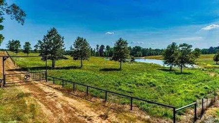 Lakefront Property on Lake O' the Pines in Avinger Texas - image 4