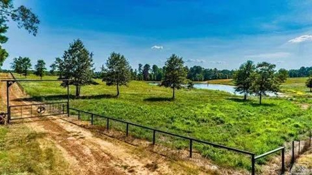 Lakefront Property on Lake O' the Pines in Avinger Texas - image 2