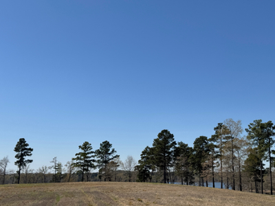 Lakefront Property on Lake O' the Pines in Avinger Texas - image 11