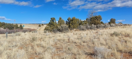 Colorado Old West Farm And Ranch Near Ancient Cliff Dwelllings, Hunting & Recreation - image 2