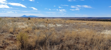 Colorado Old West Farm And Ranch Near Ancient Cliff Dwelllings, Hunting & Recreation - image 12