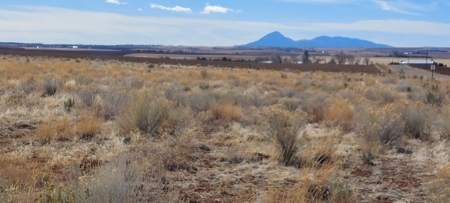 Colorado Old West Farm And Ranch Near Ancient Cliff Dwelllings, Hunting & Recreation - image 3