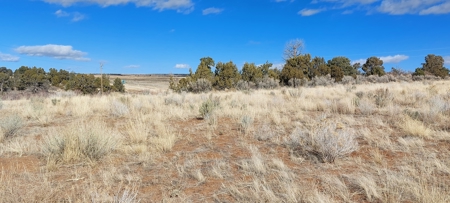 Colorado Old West Farm And Ranch Near Ancient Cliff Dwelllings, Hunting & Recreation - image 7