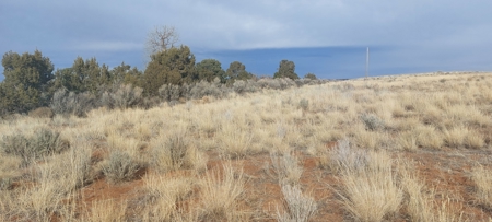 Colorado Old West Farm And Ranch Near Ancient Cliff Dwelllings, Hunting & Recreation - image 5