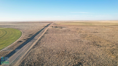 174+/- Acre Improved Grass Tract for Sale in Texas with Hunting Potential - image 23