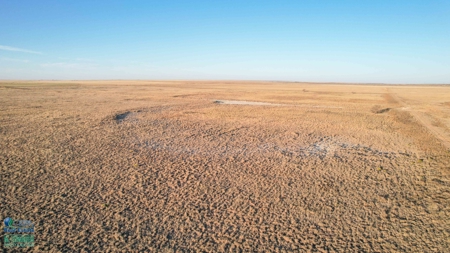 174+/- Acre Improved Grass Tract for Sale in Texas with Hunting Potential - image 20