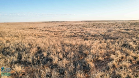 174+/- Acre Improved Grass Tract for Sale in Texas with Hunting Potential - image 6