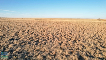 174+/- Acre Improved Grass Tract for Sale in Texas with Hunting Potential - image 22