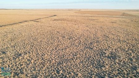 174+/- Acre Improved Grass Tract for Sale in Texas with Hunting Potential - image 10