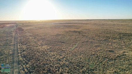 174+/- Acre Improved Grass Tract for Sale in Texas with Hunting Potential - image 14