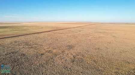 174+/- Acre Improved Grass Tract for Sale in Texas with Hunting Potential - image 1