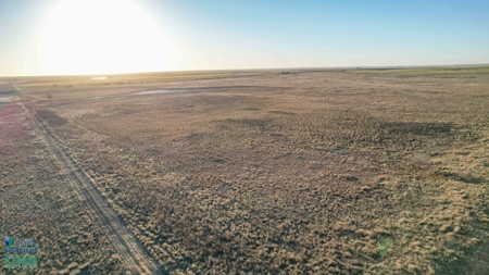 174+/- Acre Improved Grass Tract for Sale in Texas with Hunting Potential - image 16