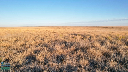 174+/- Acre Improved Grass Tract for Sale in Texas with Hunting Potential - image 3