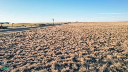 174+/- Acre Improved Grass Tract for Sale in Texas with Hunting Potential - image 21