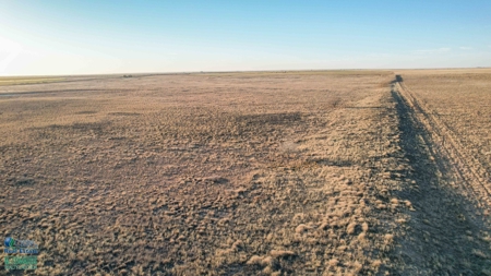 174+/- Acre Improved Grass Tract for Sale in Texas with Hunting Potential - image 15