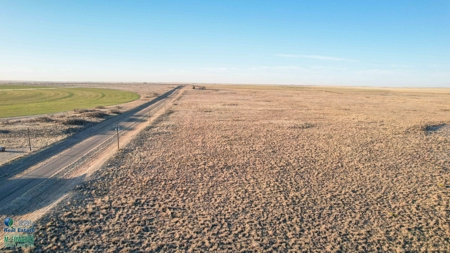 174+/- Acre Improved Grass Tract for Sale in Texas with Hunting Potential - image 19
