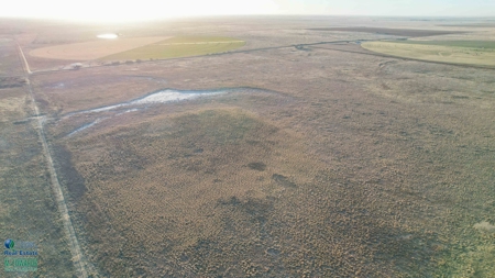 174+/- Acre Improved Grass Tract for Sale in Texas with Hunting Potential - image 17