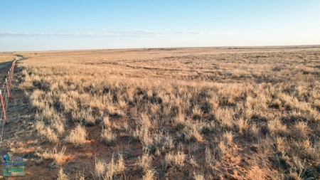 174+/- Acre Improved Grass Tract for Sale in Texas with Hunting Potential - image 4