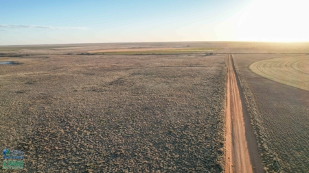 174+/- Acre Improved Grass Tract for Sale in Texas with Hunting Potential - image 7