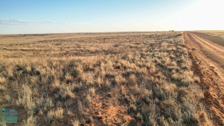 174+/- Acre Improved Grass Tract for Sale in Texas with Hunting Potential - image 5