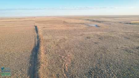 174+/- Acre Improved Grass Tract for Sale in Texas with Hunting Potential - image 8