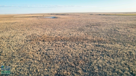 174+/- Acre Improved Grass Tract for Sale in Texas with Hunting Potential - image 9