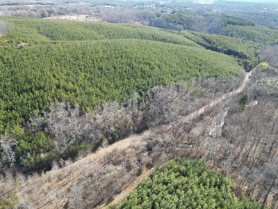 219-Acre Paradise: Timber Investment Meets Outdoor Haven, VA - image 22