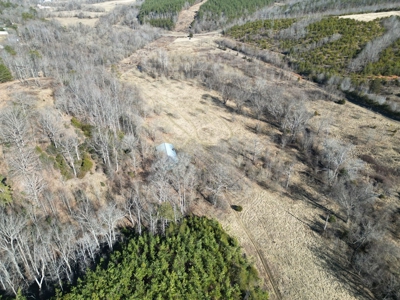 219-Acre Paradise: Timber Investment Meets Outdoor Haven, VA - image 20