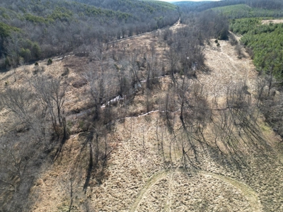 219-Acre Paradise: Timber Investment Meets Outdoor Haven, VA - image 18