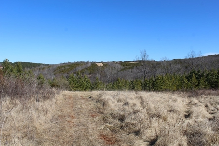 219-Acre Paradise: Timber Investment Meets Outdoor Haven, VA - image 9