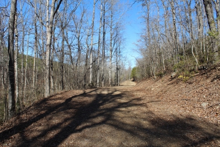 219-Acre Paradise: Timber Investment Meets Outdoor Haven, VA - image 14