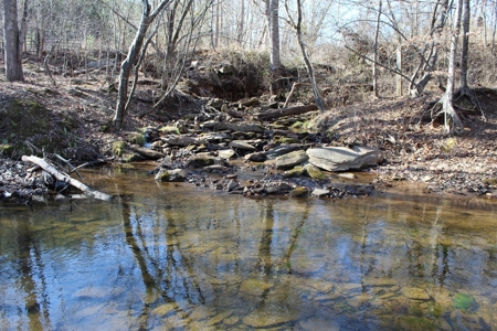 219-Acre Paradise: Timber Investment Meets Outdoor Haven, VA - image 13