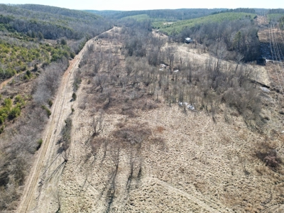 219-Acre Paradise: Timber Investment Meets Outdoor Haven, VA - image 29