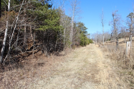 219-Acre Paradise: Timber Investment Meets Outdoor Haven, VA - image 17
