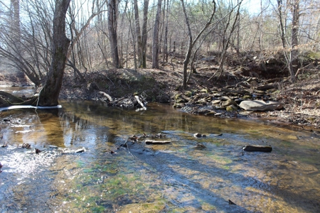 219-Acre Paradise: Timber Investment Meets Outdoor Haven, VA - image 12